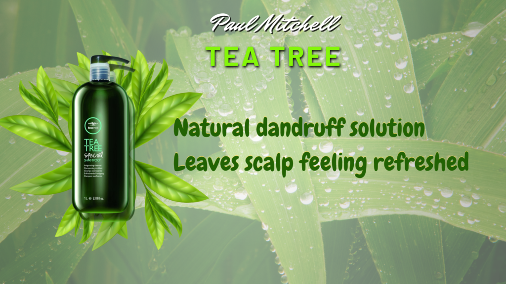  Paul Mitchell Tea Tree dandruff shampoo for men|yourleaf.in