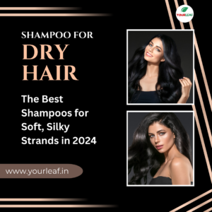 Read more about the article How to Fix Dry Hair: The Best Shampoos for Soft, Silky Strands in 2024