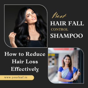 Read more about the article How to Reduce Hair Loss with the Best Hair Fall Control Shampoos